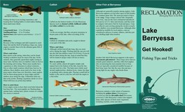 Lake Berryessa Supports Several Other Types of Fish Besides Largemouth Bass the Common Game Fish