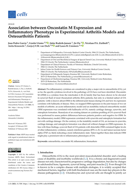 Association Between Oncostatin M Expression and Inflammatory Phenotype in Experimental Arthritis Models and Osteoarthritis Patie