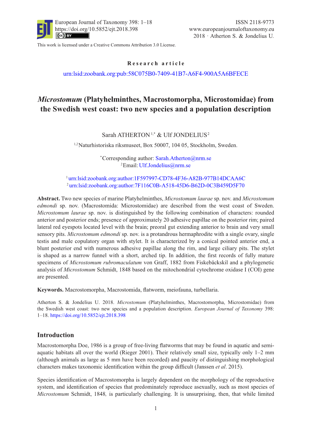 Microstomum (Platyhelminthes, Macrostomorpha, Microstomidae) from the Swedish West Coast: Two New Species and a Population Description