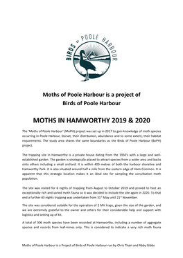 Moths in Hamworthy 2019 & 2020