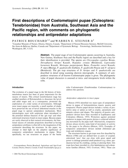 Coleoptera: Tenebrionidae) from Australia, Southeast Asia and the Pacific Region, with Comments on Phylogenetic Relationships and Antipredator Adaptations