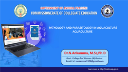 Dr.N.Ankamma, M.Sc,Ph.D Govt
