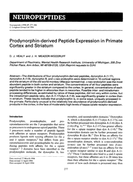 Prodynorphin-Derived Peptide Expression in Primate Cortex and Striatum