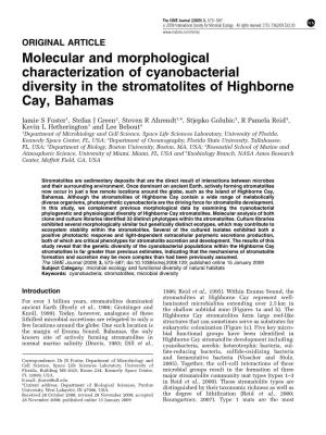 Molecular and Morphological Characterization of Cyanobacterial Diversity in the Stromatolites of Highborne Cay, Bahamas