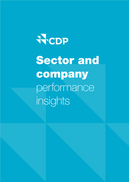 Sector and Company Performance Insights Contents