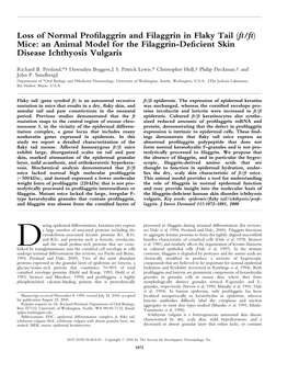 Loss of Normal Profilaggrin and Filaggrin in Flaky Tail