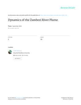 Dynamics of the Zambezi River Plume