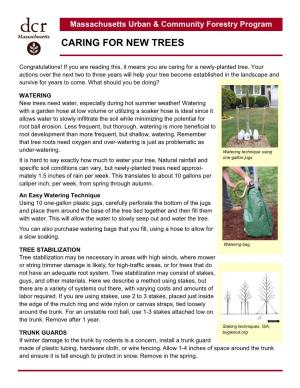 Caring for New Trees