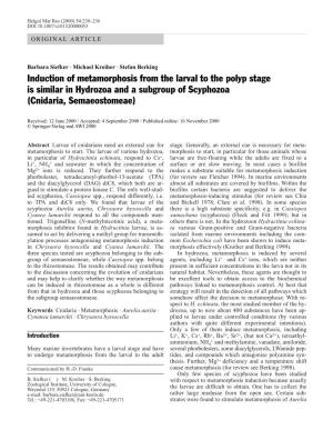 Induction of Metamorphosis from the Larval to the Polyp Stage Is Similar in Hydrozoa and a Subgroup of Scyphozoa (Cnidaria, Semaeostomeae)