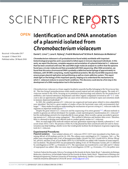 Identification and DNA Annotation of a Plasmid Isolated From