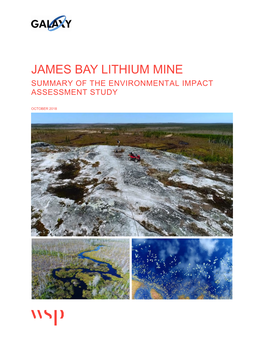 James Bay Lithium Mine Summary of the Environmental Impact Assessment Study