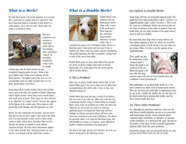 What Is a Double Merle? Eye Defects in Double Merles