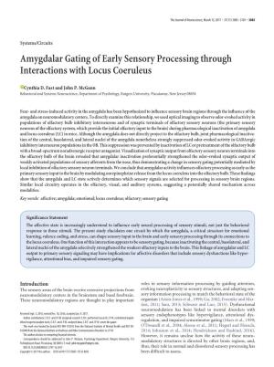 Amygdalar Gating of Early Sensory Processing Through Interactions with Locus Coeruleus