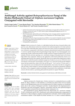 Antifungal Activity Against Botryosphaeriaceae Fungi of the Hydro-Methanolic Extract of Silybum Marianum Capitula Conjugated with Stevioside