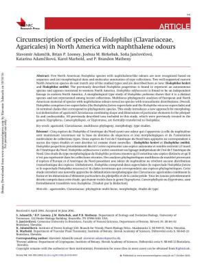 Circumscription of Species of Hodophilus (Clavariaceae, Agaricales) in North America with Naphthalene Odours Slavomír Adamcˇík, Brian P