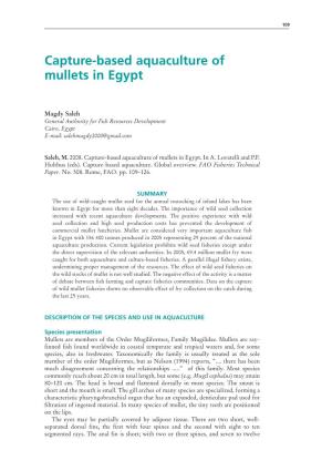 Capture-Based Aquaculture of Mullets in Egypt