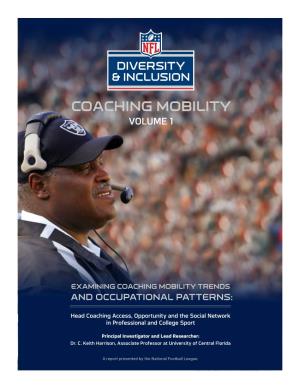 2013 NFL Diversity and Inclusion Report