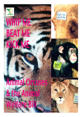 Animal Circuses and the Animal Welfare Bill ● Nov
