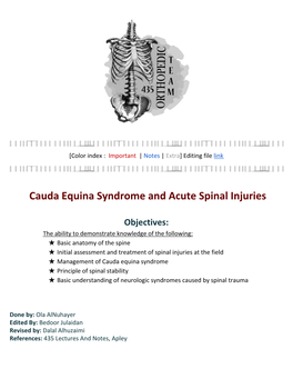 Cauda Equina Syndrome and Acute Spinal Injuries (1)