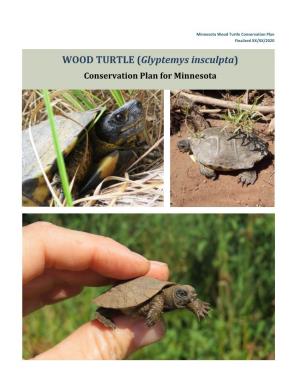 WOOD TURTLE (Glyptemys Insculpta) Conservation Plan for Minnesota