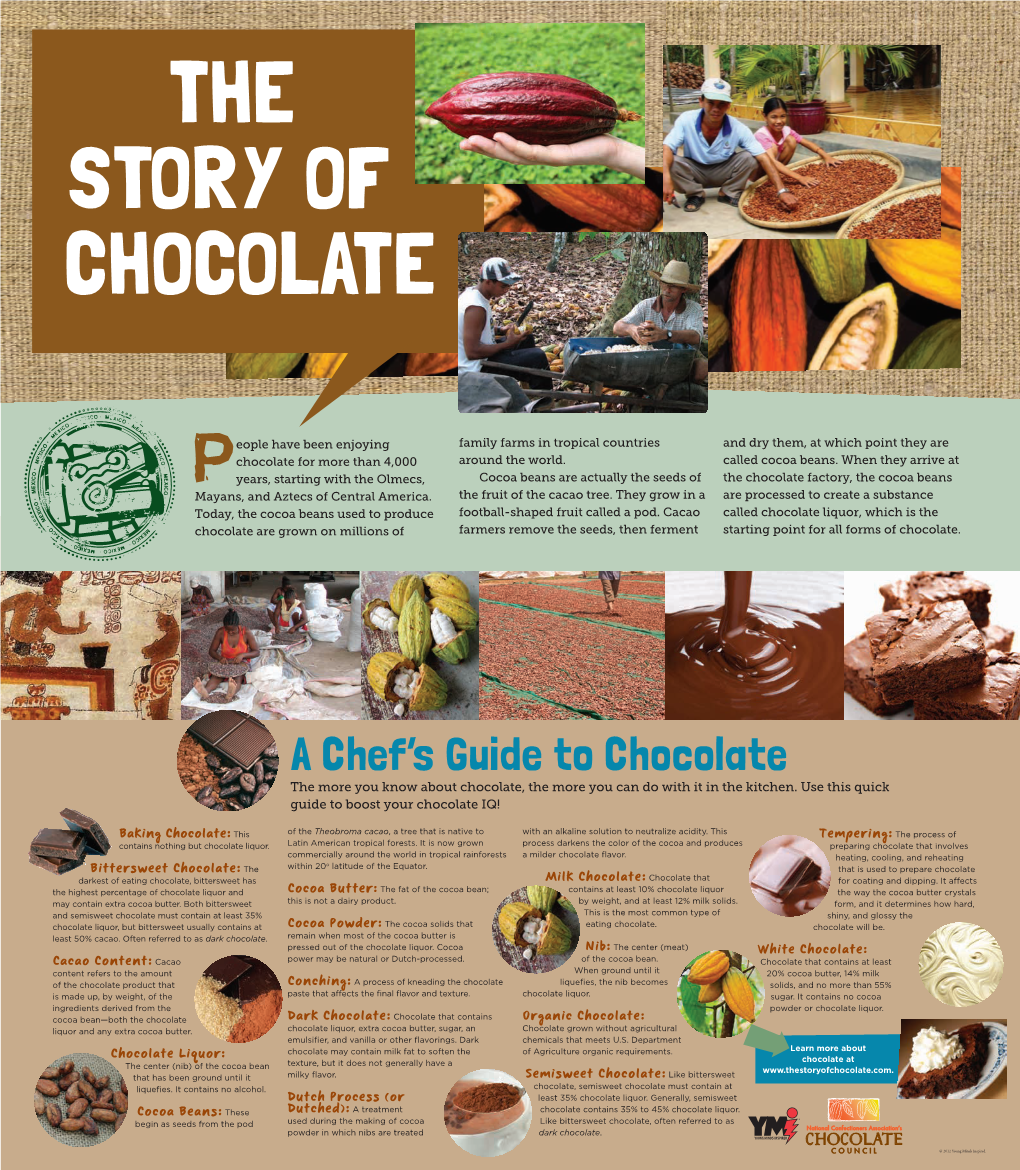 The Story of Chocolate