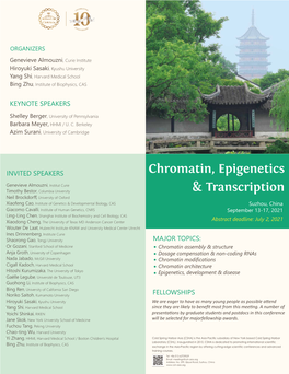 Chromatin, Epigenetics & Transcription