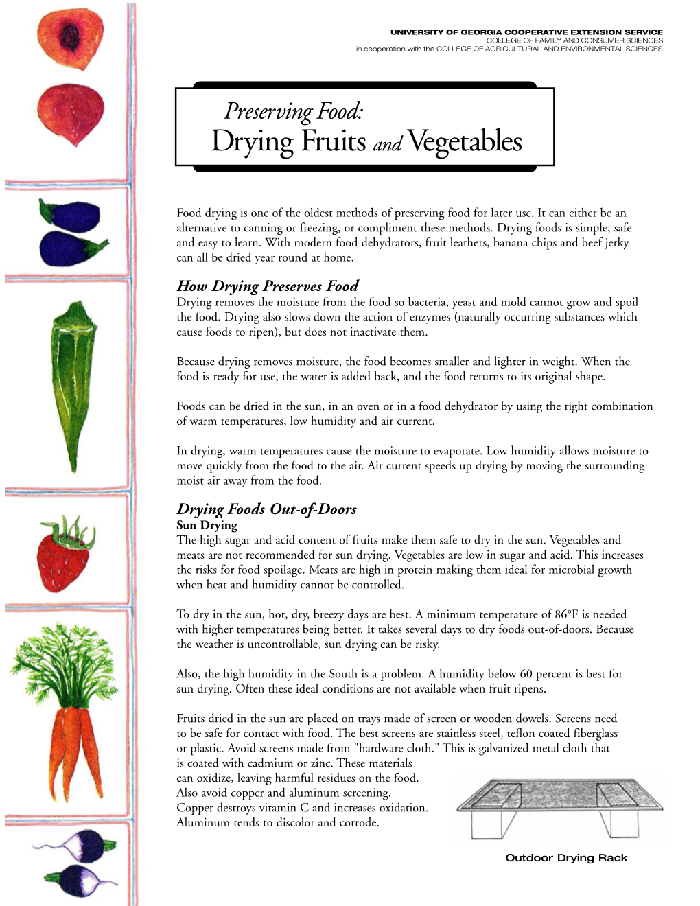 Drying Fruits and Vegetables DocsLib