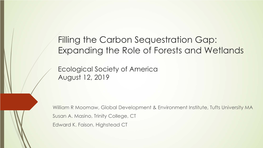 Filling the Carbon Sequestration Gap: Expanding the Role of Forests and Wetlands