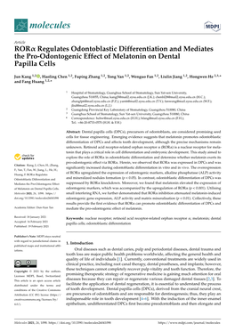 Rorα Regulates Odontoblastic Differentiation and Mediates the Pro-Odontogenic Effect of Melatonin on Dental Papilla Cells