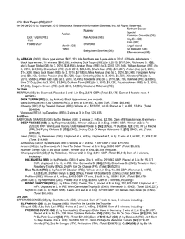 750 Dick Turpin (IRE) 2007 on 04-Jul-2010 (C) Copyright 2010 Bloodstock Research Information Services, Inc