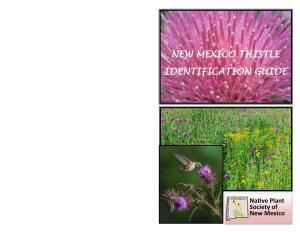 NM Thistle Identification Guide