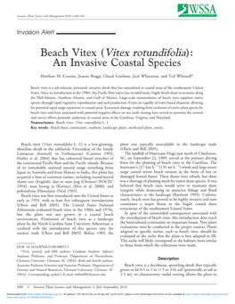 Beach Vitex (Vitex Rotundifolia): an Invasive Coastal Species