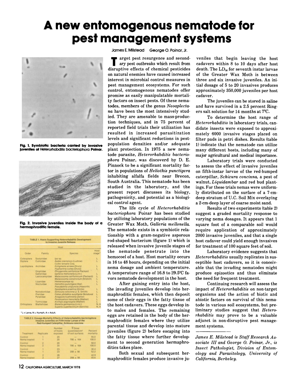 A New Entomogenous Nematode for Pest Management Systems James E