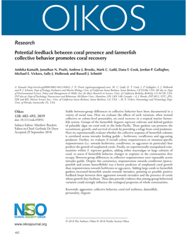 Potential Feedback Between Coral Presence and Farmerfish Collective Behavior Promotes Coral Recovery