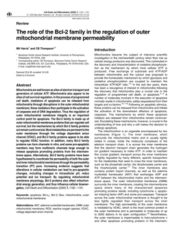 The Role of the Bcl-2 Family in the Regulation of Outer Mitochondrial Membrane Permeability