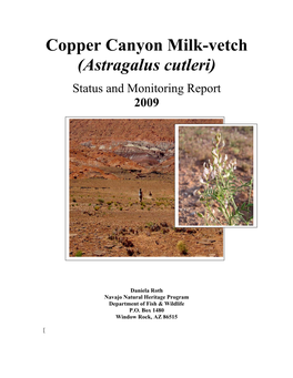 Copper Canyon Milk-Vetch (Astragalus Cutleri)
