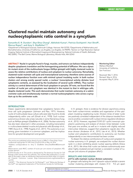 Clustered Nuclei Maintain Autonomy and Nucleocytoplasmic Ratio Control in a Syncytium