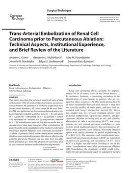 Trans-Arterial Embolization of Renal Cell Carcinoma Prior to Percutaneous Ablation: Technical Aspects, Institutional Experience, and Brief Review of the Literature