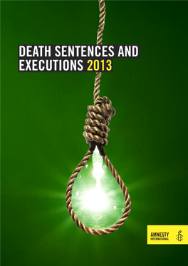 Death Sentences and Executions 2013