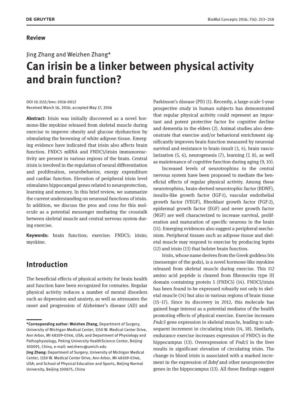 Can Irisin Be a Linker Between Physical Activity and Brain Function?