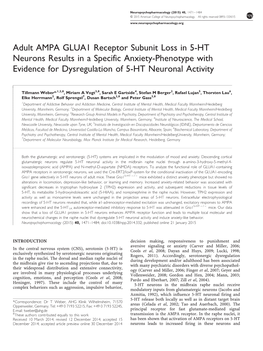 Adult AMPA GLUA1 Receptor Subunit Loss in 5-HT Neurons Results in a Specific Anxiety-Phenotype with Evidence for Dysregulation of 5-HT Neuronal Activity