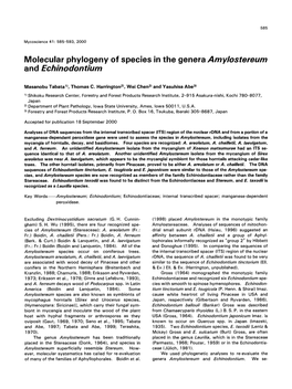 Amylostereum and Echinodontium