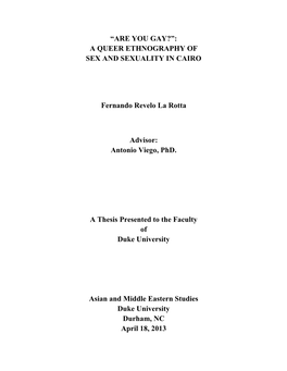 Are You Gay?”: a Queer Ethnography of Sex and Sexuality in Cairo