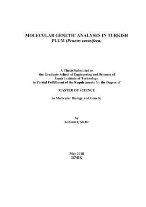 MOLECULAR GENETIC ANALYSES in TURKISH PLUM (Prunus Cerasifera)