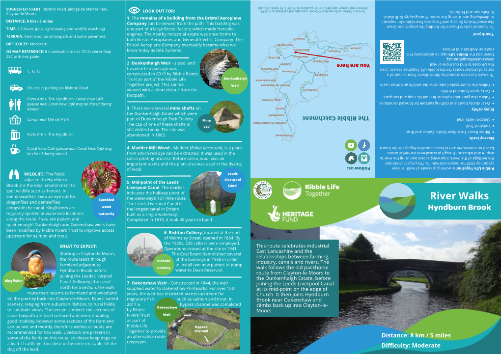 Hyndburn Brook Regularly Spotted at Waterside Locations Butterfly Built As a Single Waterway