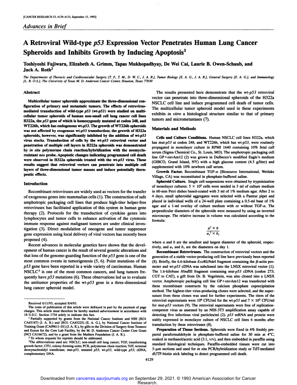 A Retroviral Wild-Type P53 Expression Vector Penetrates Human Lung Cancer Spheroids and Inhibits Growth by Inducing Apoptosis1