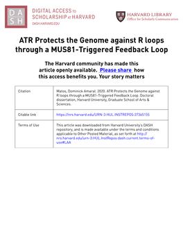 ATR Protects the Genome Against R Loops Through a MUS81-Triggered Feedback Loop