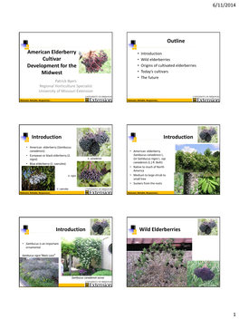 American Elderberry Cultivar Development for the Midwest