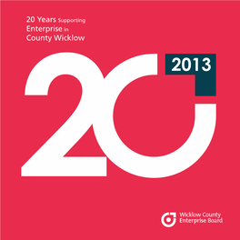 20 Years Supporting Enterprise in County Wicklow 2013