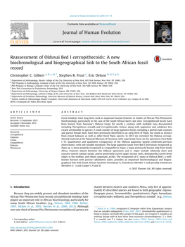 Reassessment of Olduvai Bed I Cercopithecoids: a New Biochronological and Biogeographical Link to the South African Fossil Record
